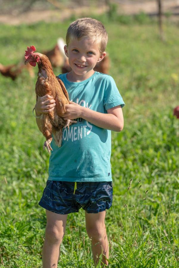 Camping Agrisalus Арко Экстерьер фото