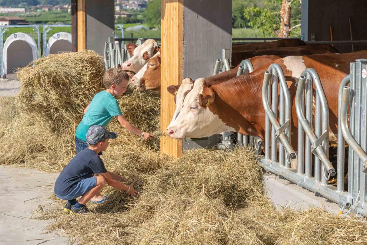 Camping Agrisalus Арко Экстерьер фото